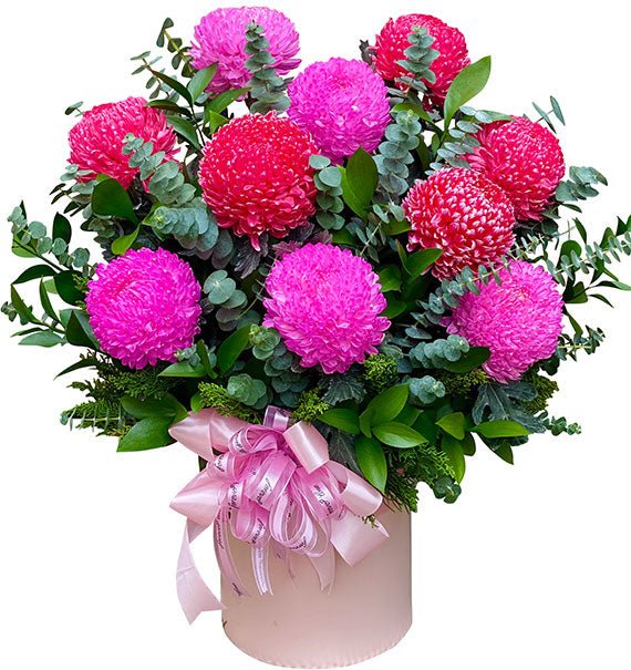 10 Pink and Red Peony Chrys In Basket