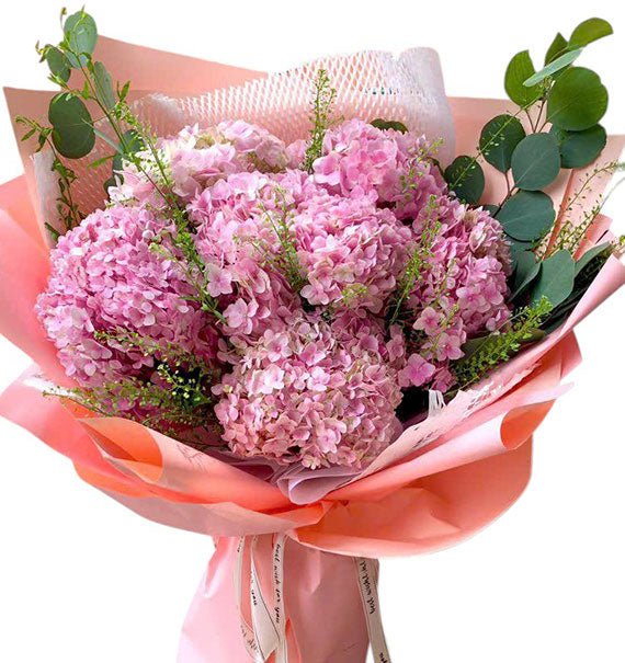 Blush Pink Hydrangeas