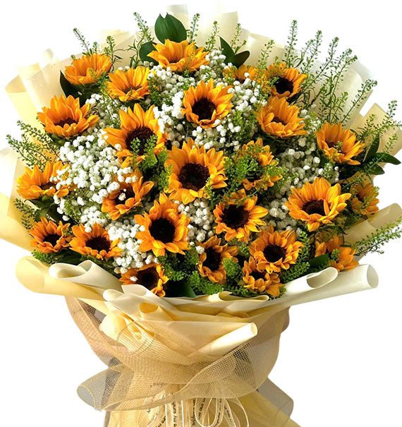 Brighten Your Day