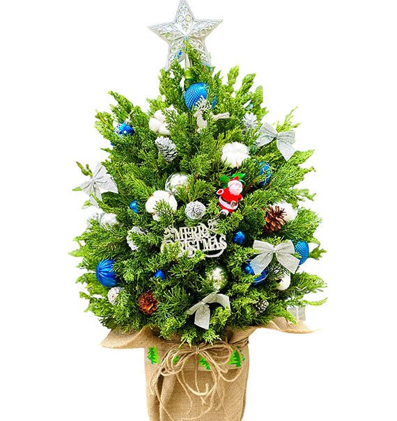 Christmas Tree With Lights - HCM ONLY