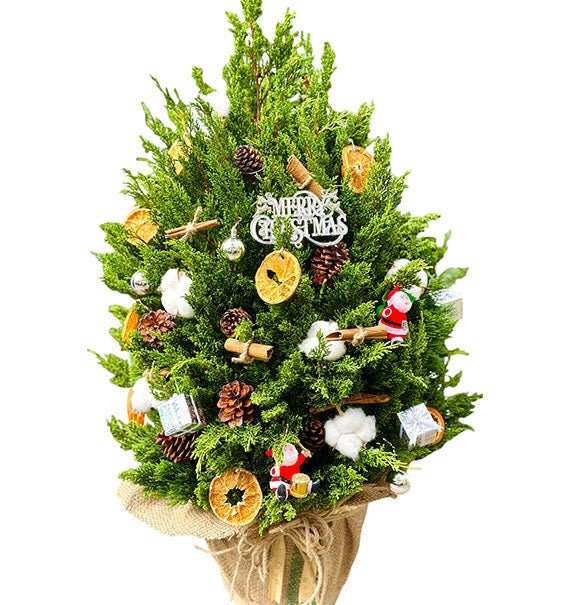 Decorated Christmas Tree - HCM ONLY
