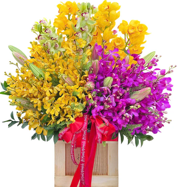 Deluxe Orchid Basket For Mom