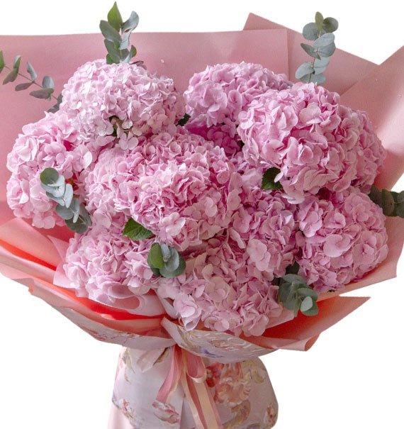 Fairy Blossom Hydrangeas
