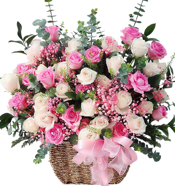 Fresh Radiance