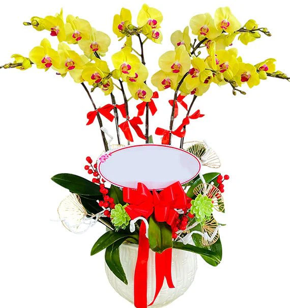 Graceful Orchid Pot For Her