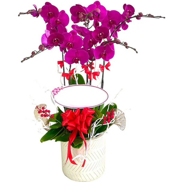 Luxury Orchid Pot For Her