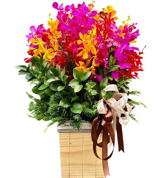 Orchid Basket For Father's Day