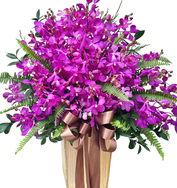 Orchid Basket For Women’s Day - HCM ONLY