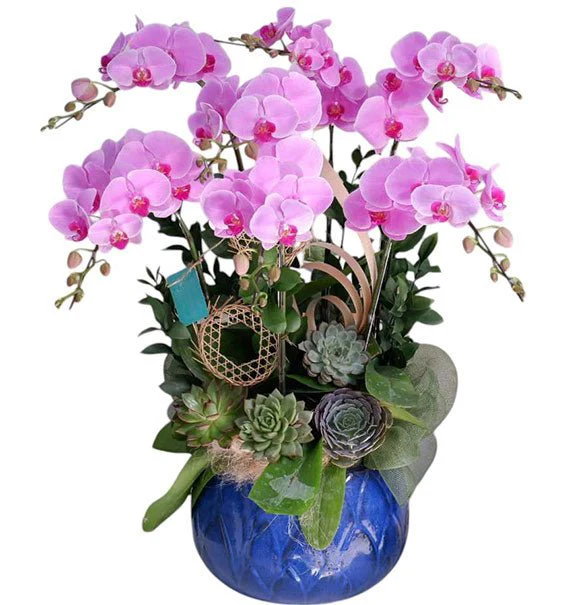 Potted Purple Orchid 07 Branches