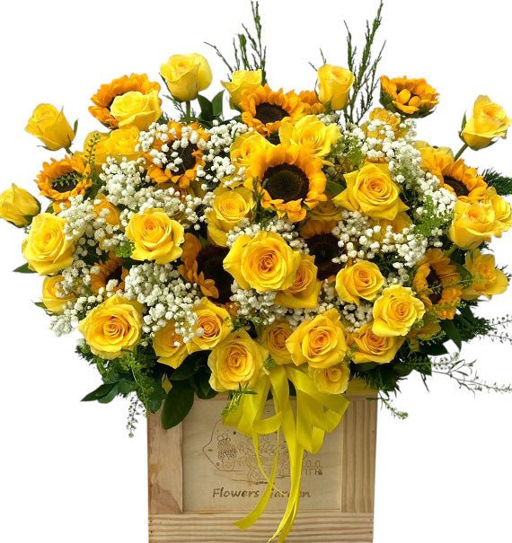 Special Sunshine
