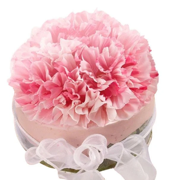 Women’s Day Cakes