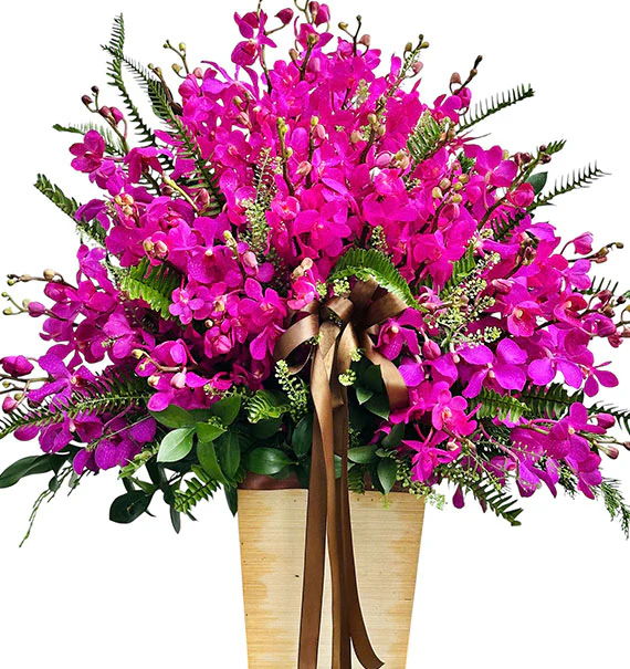VN Women's Day Orchid Basket