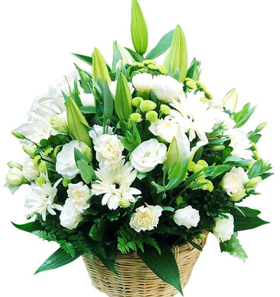 White Bloomlight