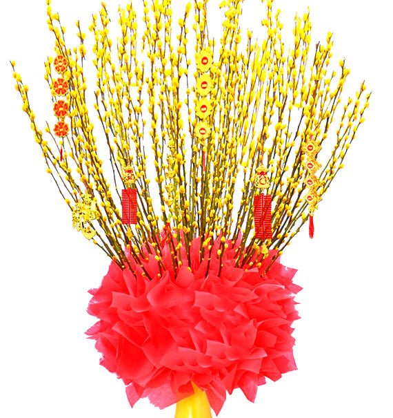 Yellow Singapore Peach-Tree 1m6 - HCM ONLY